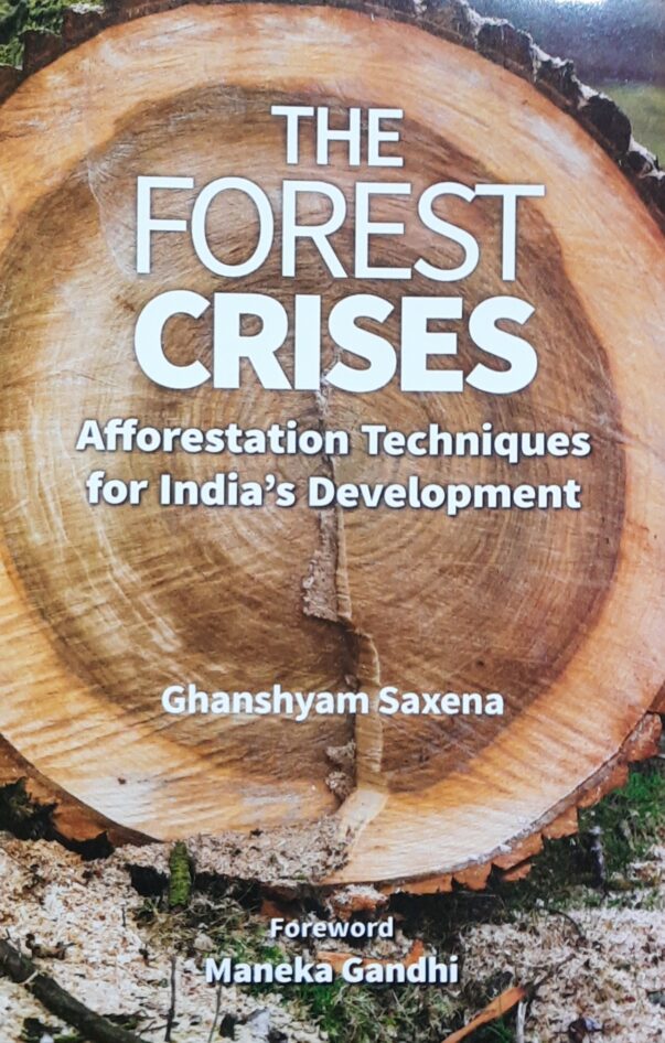 Forest, forest conservation, tree conservation, ecology