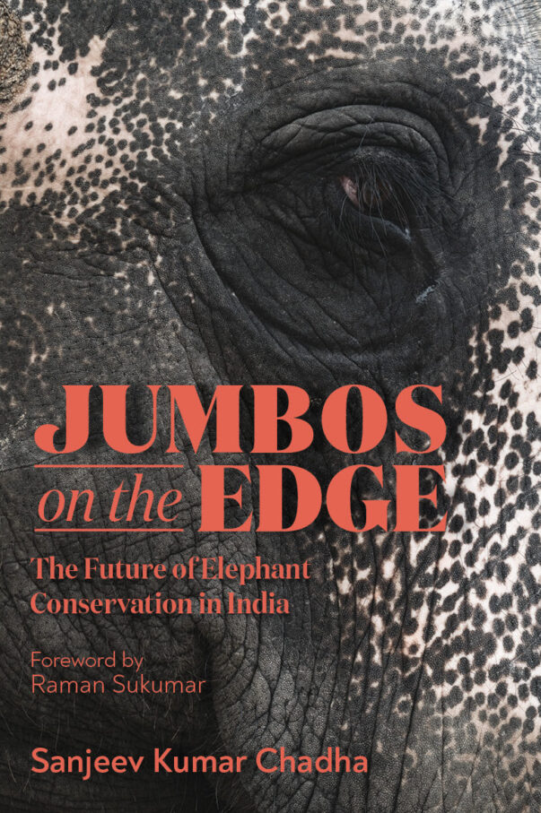 ELEPHANT CONSERVATION, HUMAN ELEPHANT CONFLICT, ELEPHANT'S BEHAVIOUR, ELEPHANT CONSERVATION STORY, ELEPHANT CONSERVATION POLICIES, PROJECT ELEPHANT